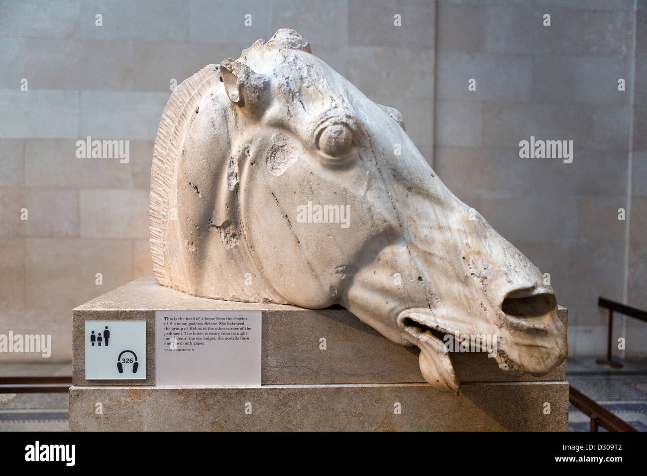 The Elgin Marbles in the British Museum, London, Stock Photo