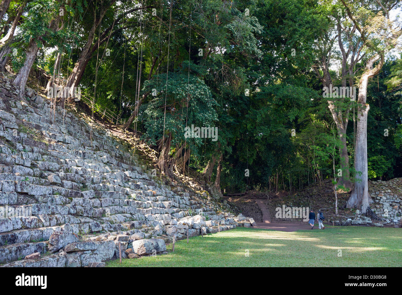 Pyramid Steps At Mayan Archeological Site Copan Ruins Unesco World Heritage Site Honduras