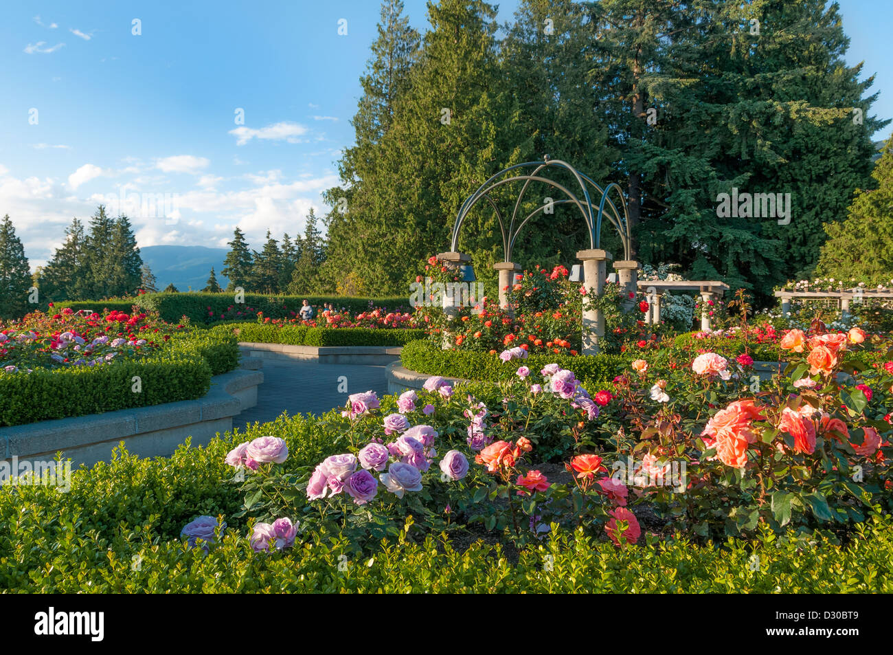 The Rose Garden, UBC, Vancouver, British Columbia, Canada Stock Photo Alamy