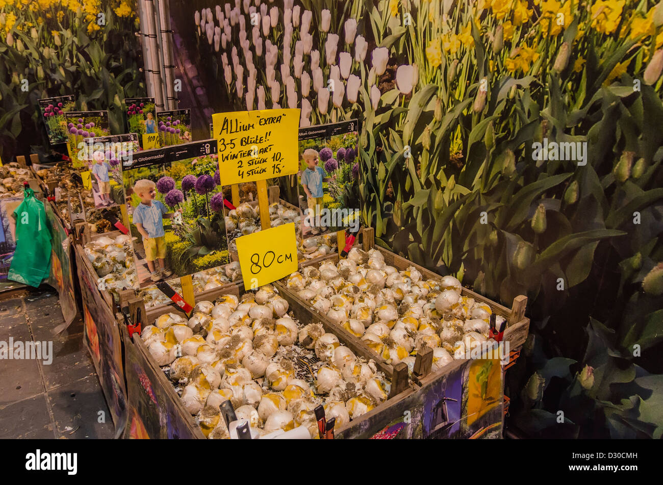 Flower bulbs for sale at "Green Week" in Berlin, Germany Stock Photo