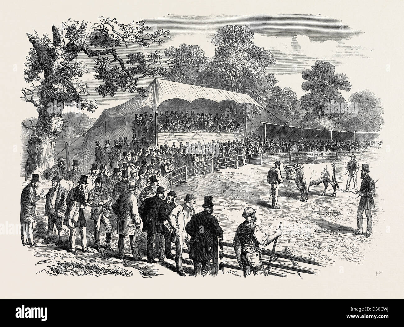 Shaw farm windsor hires stock photography and images Alamy