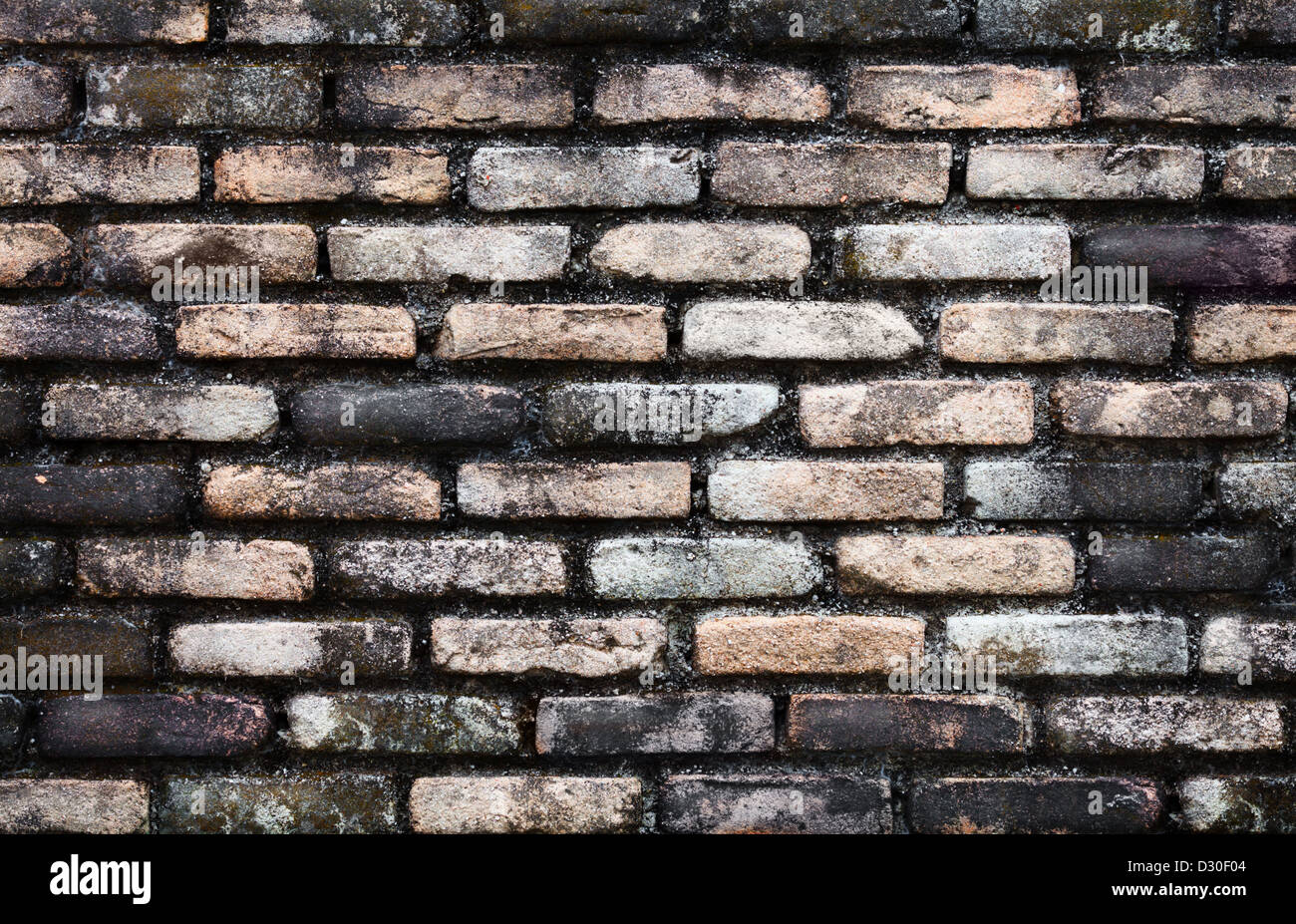 An old brick wall covered with mold architectural background Stock
