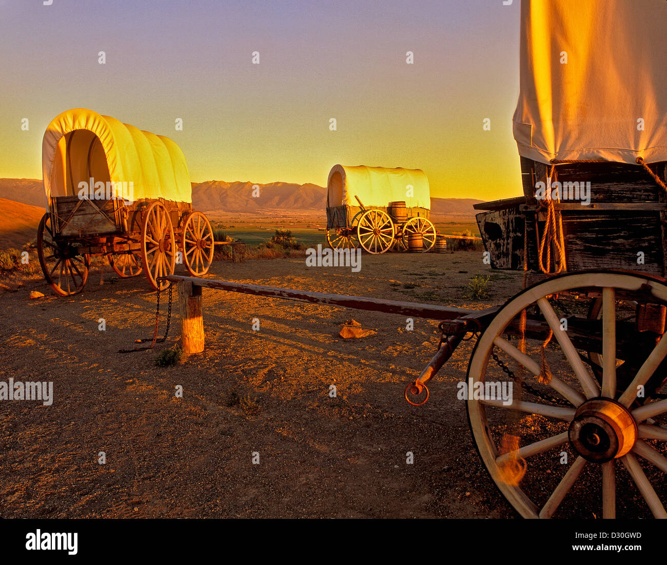 My Image 28