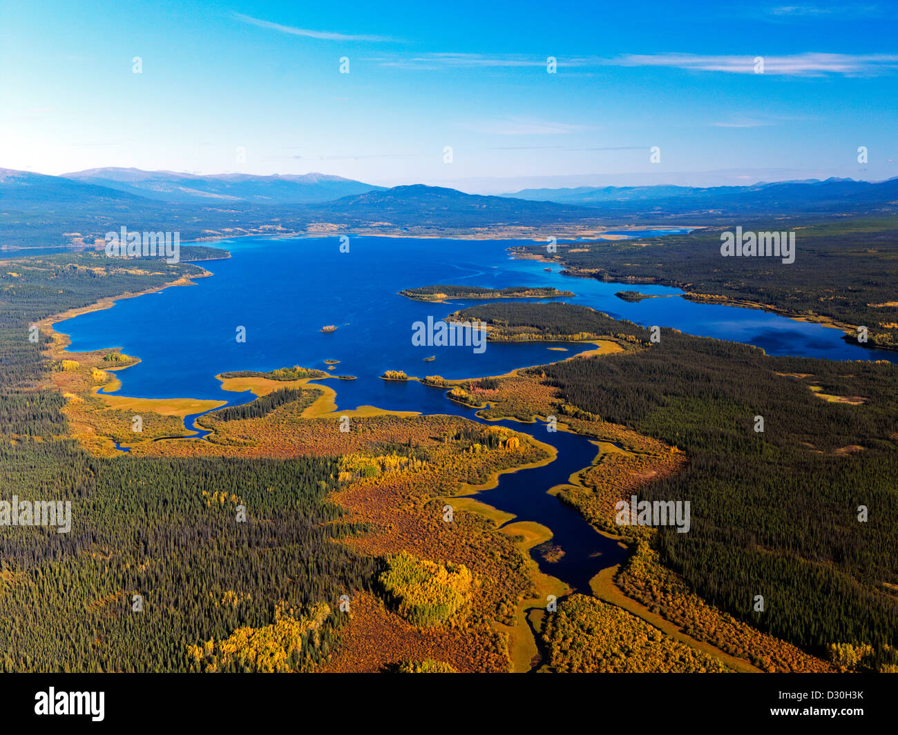 Fall colors by the lake in the Yukon Territory in Canada. An aerial photo by Paul Andrew Lawrence Stock Photo
