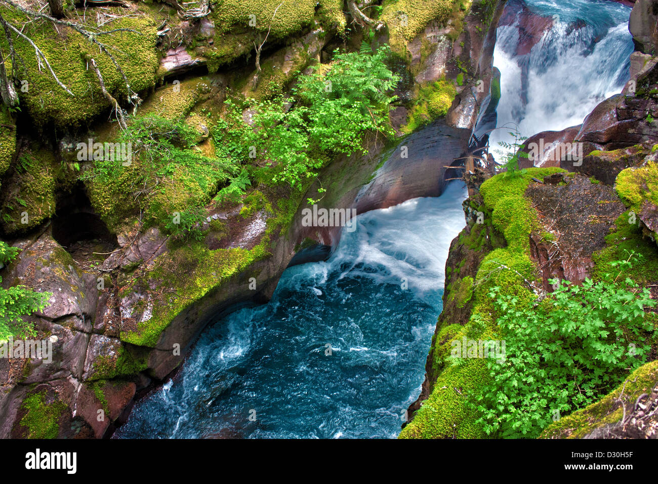 Gushing aquamarine waters and smooth cliffs of Avalanche Creek in Glacier National Park, Montana Stock Photo