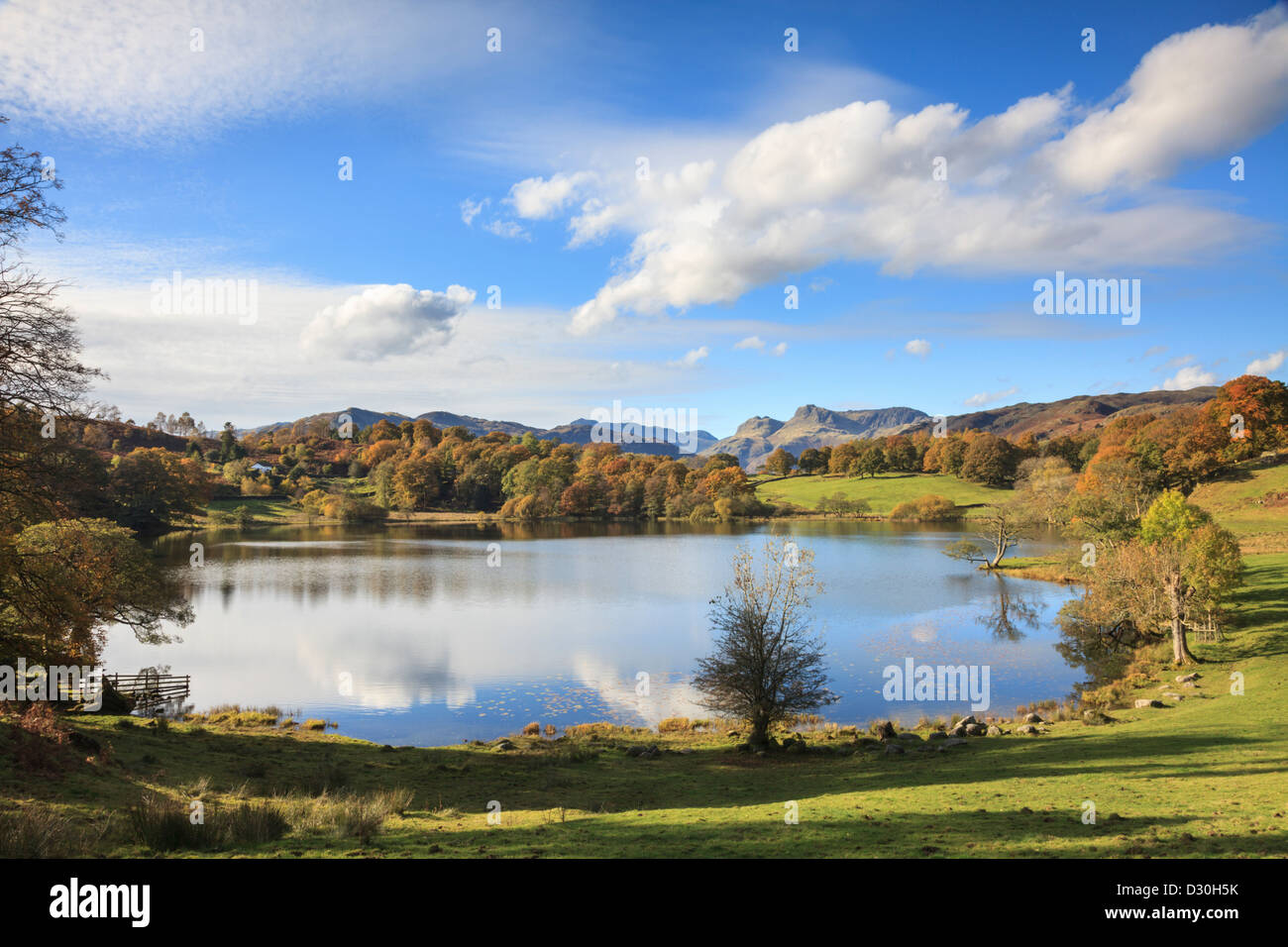 Loughrigg Tarn in the Lake District National Park, with the Langdale Pikes visible in the background. Stock Photo