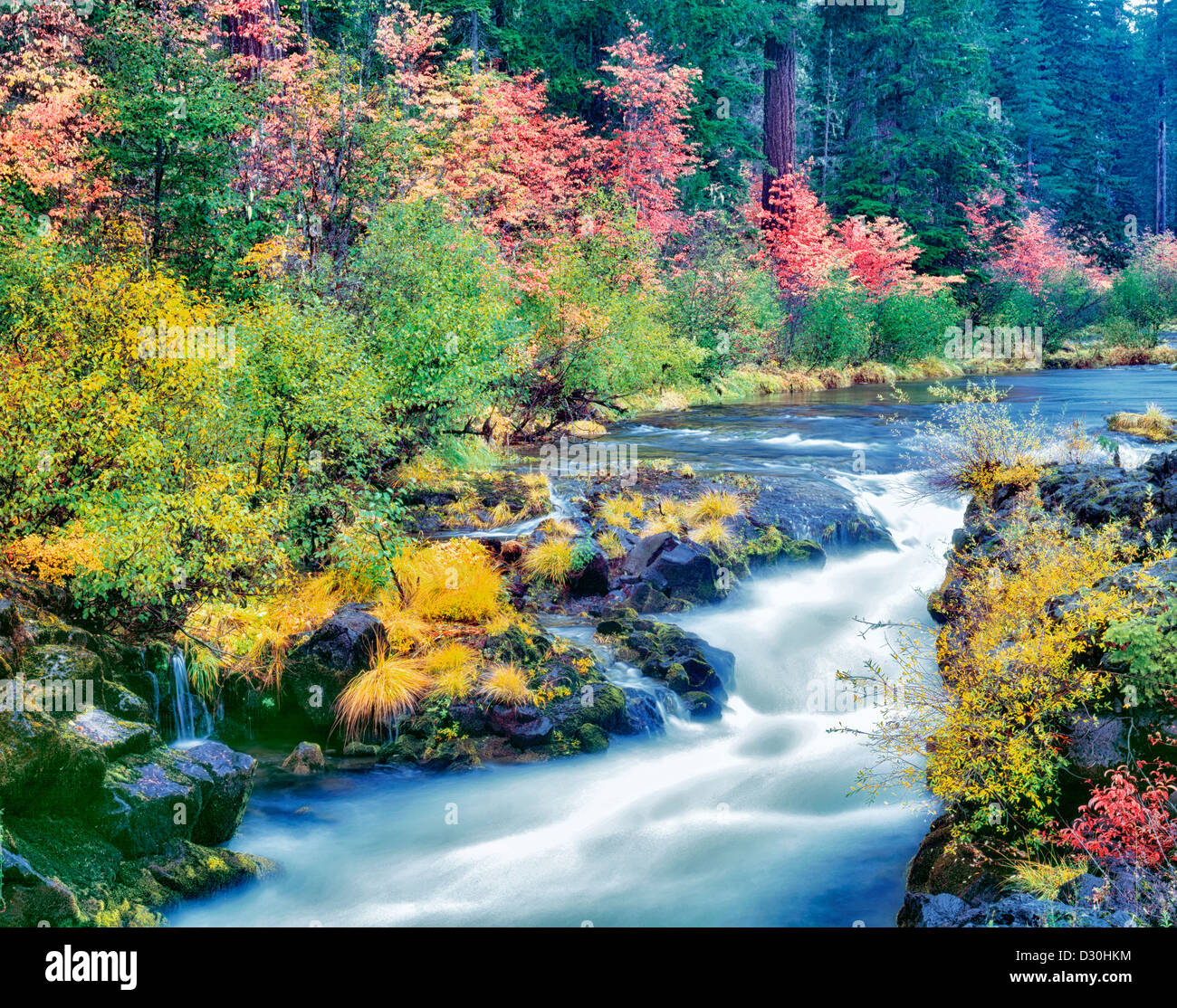 Rogue River and fall color. Rogue River Wild and Scenic River, Oregon