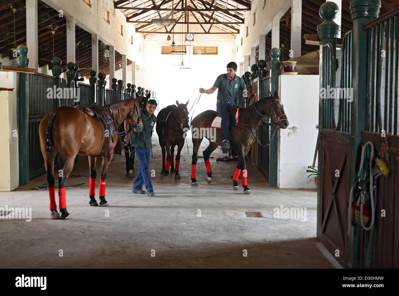 Horse Stalls High Resolution Stock Photography And Images Alamy