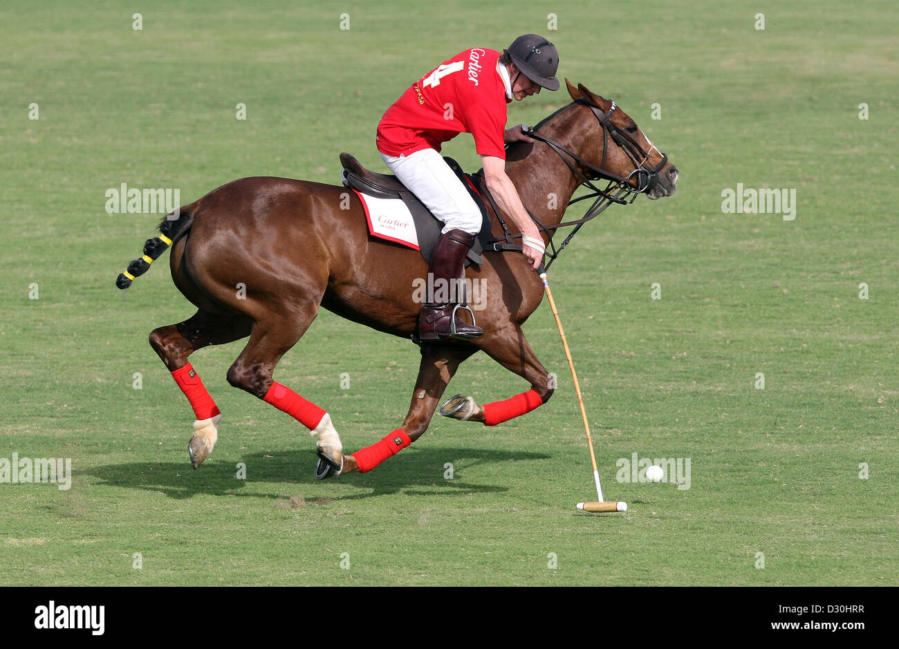 Dubai, United Arab Emirates, polo players Stock Photo Alamy