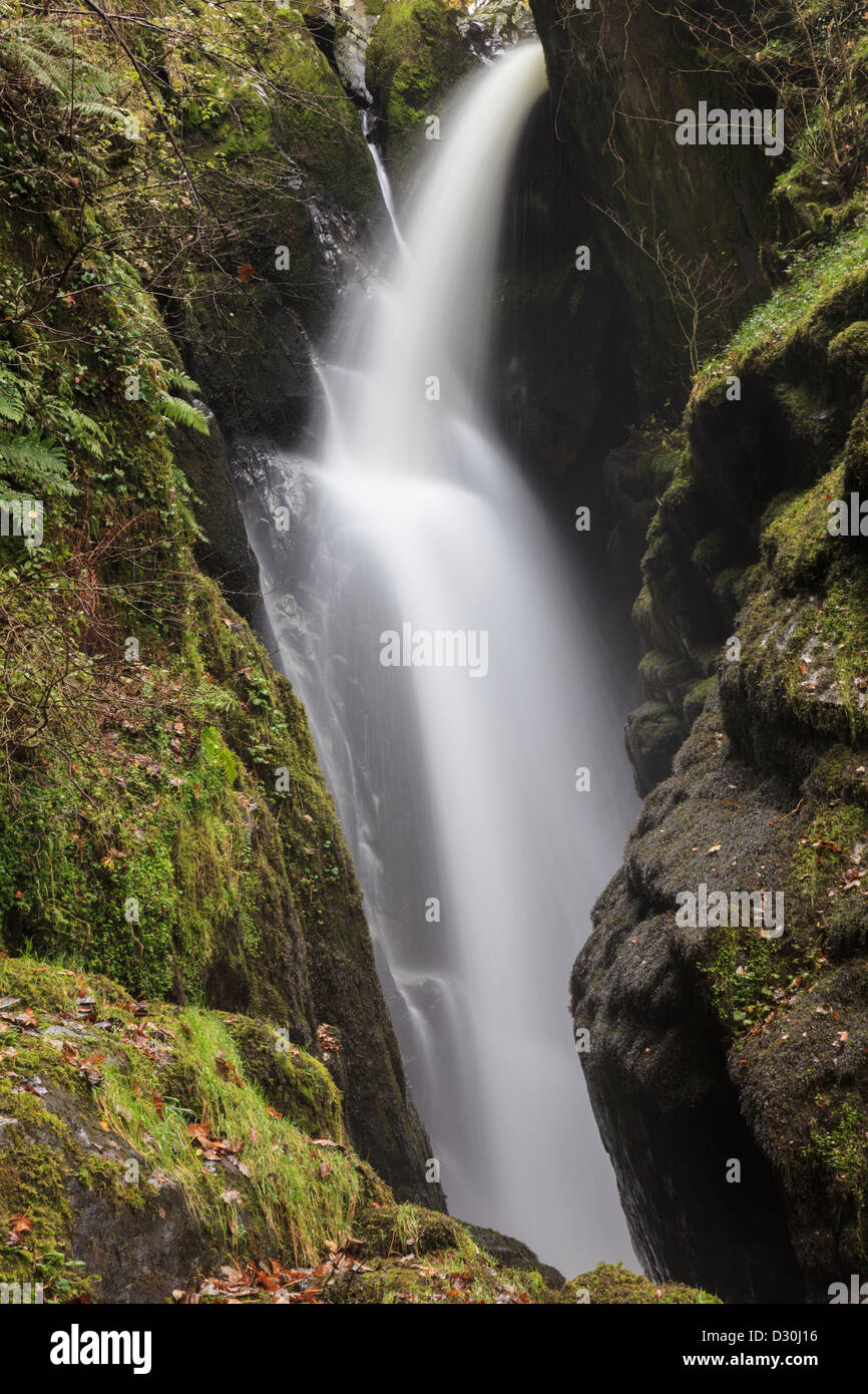 Aira Force waterfall near Ullswater in the Lake District National Park Stock Photo
