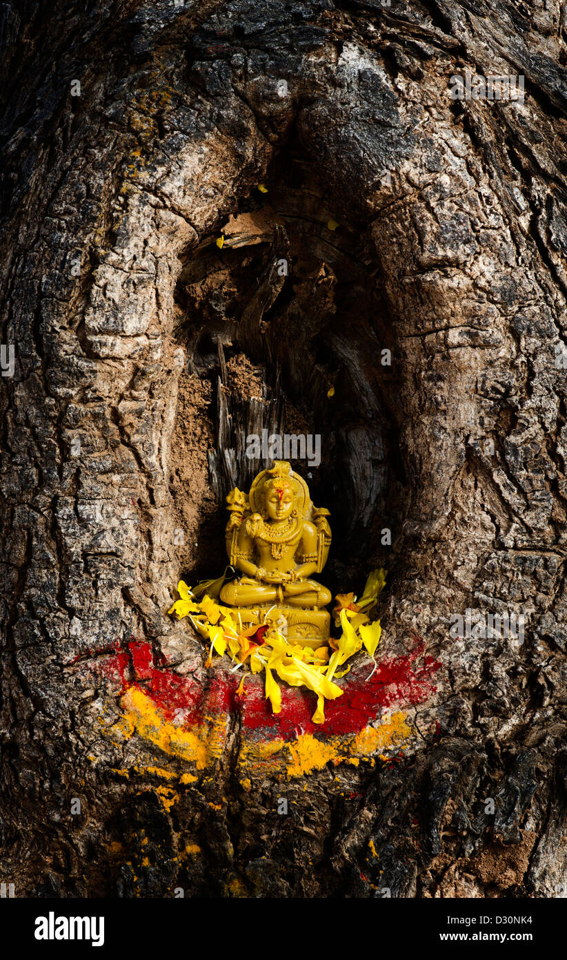 Shiva flower hires stock photography and images Alamy