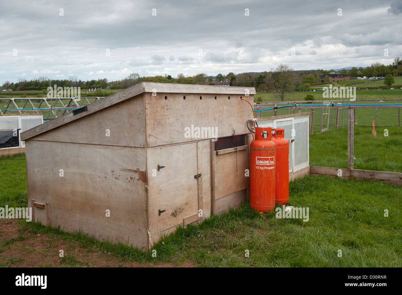 Gamebird rearing shed on a shooting estate. Stock Photo