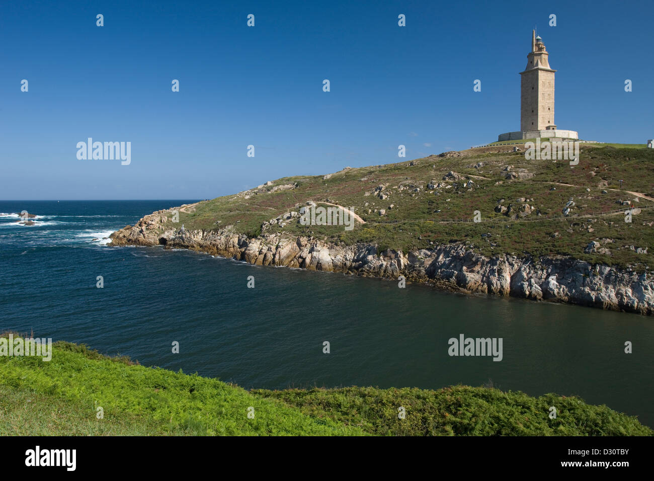 Lapas hi-res stock photography and images - Page 2 - Alamy