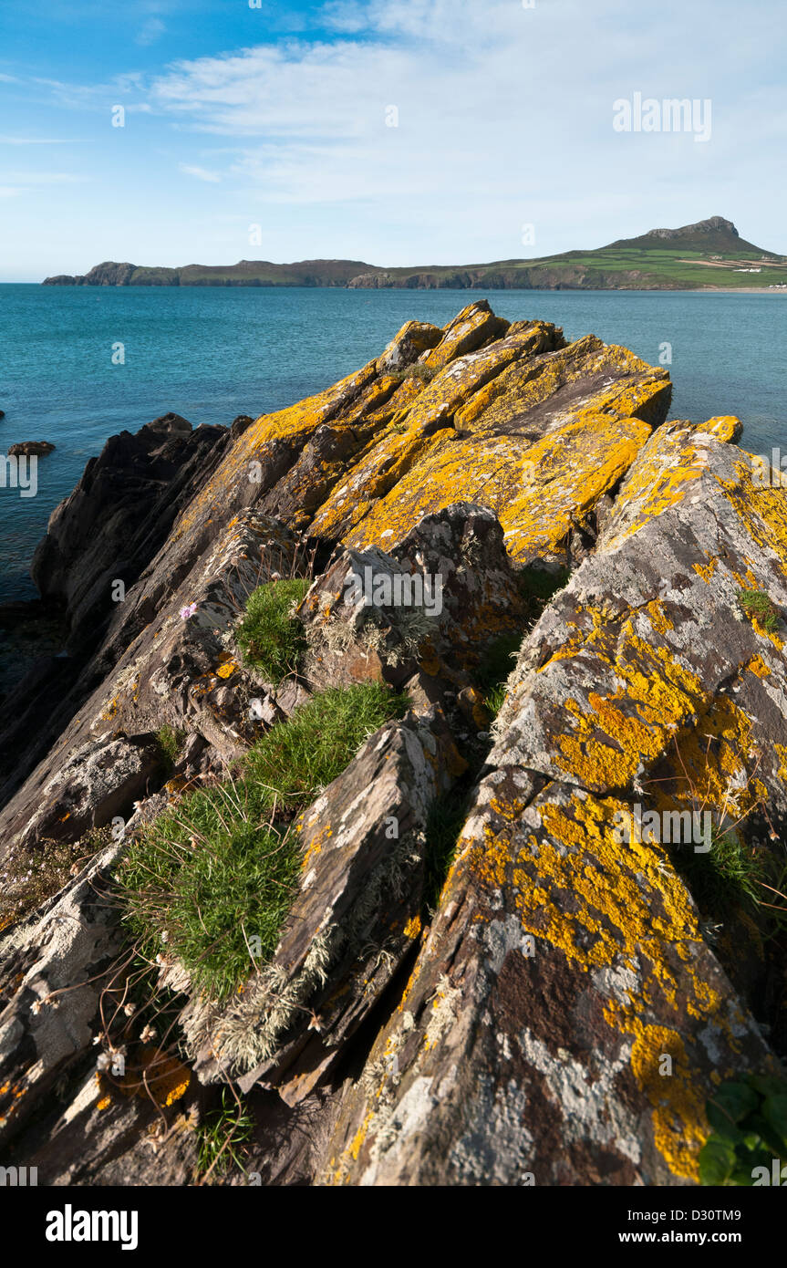 Pembrokeshire coastline at St Davids head viewed from Pencarnan with Carn Llidi  in the distance Stock Photo