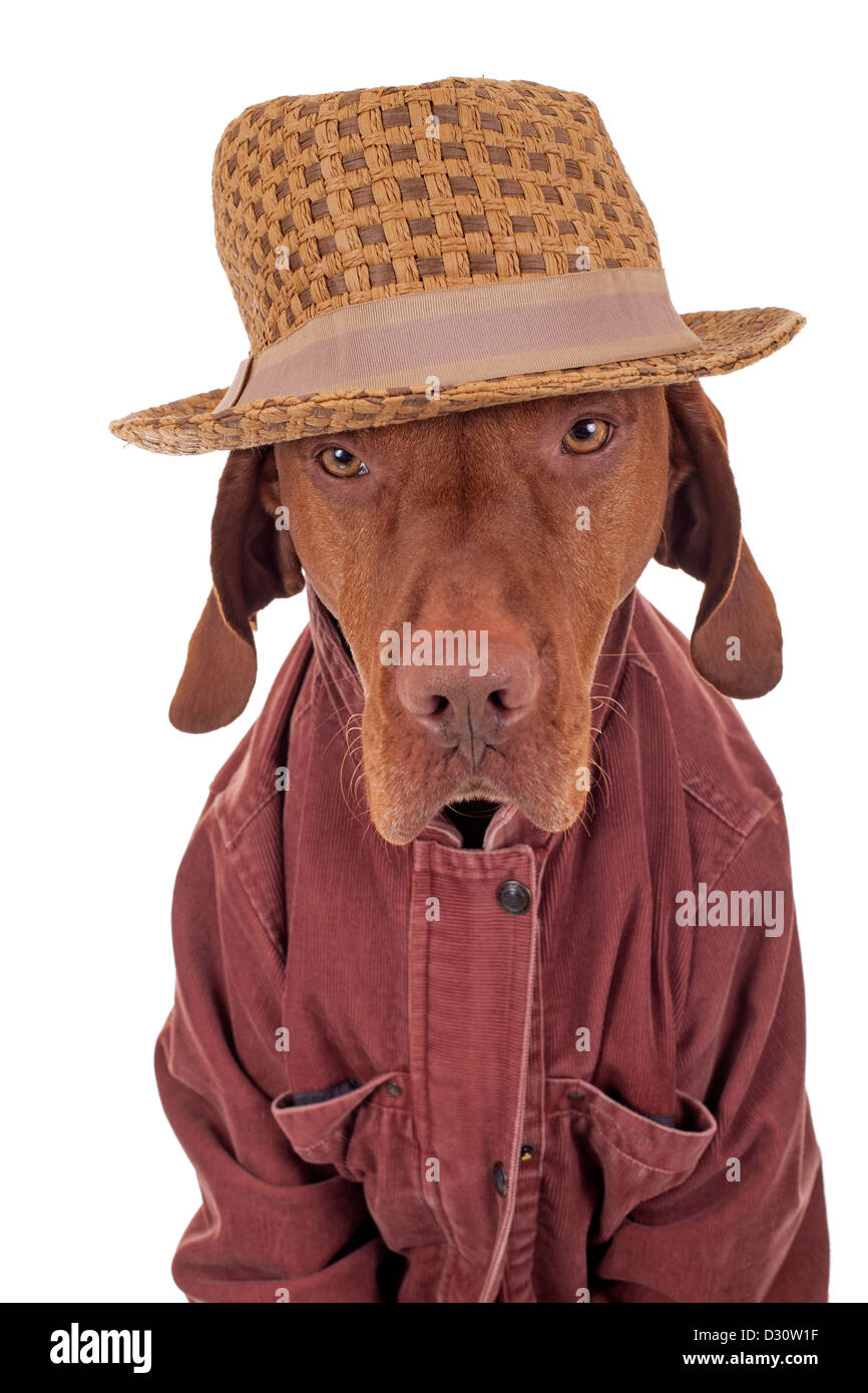 View of Corduroy jacket hi-res stock photography and images - Alamy