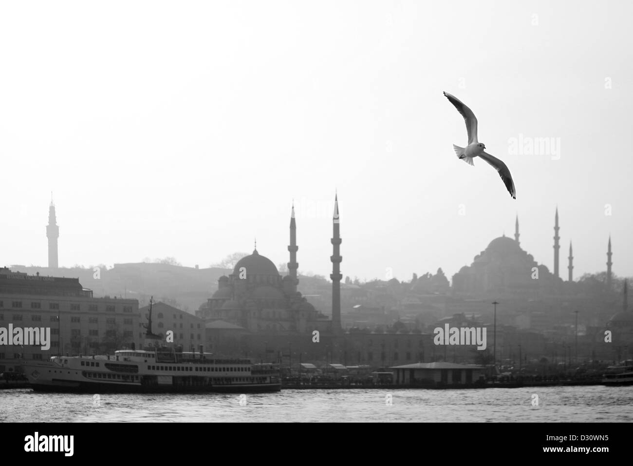 ISTANBUL TURKEY - Seagull over Beyazit tower, New Mosque (Yeni Camii), Suleyman Mosque (Suleymaniye Camii) in Eminönü, Golden Horn Stock Photo