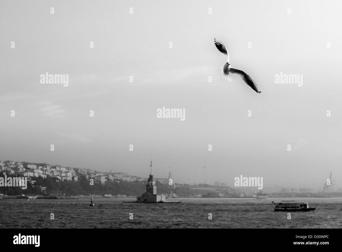 ISTANBUL TURKEY - Seagull flying over Maiden's Tower sits on a small islet off the coast of Uskudar, Bosphorus strait Stock Photo