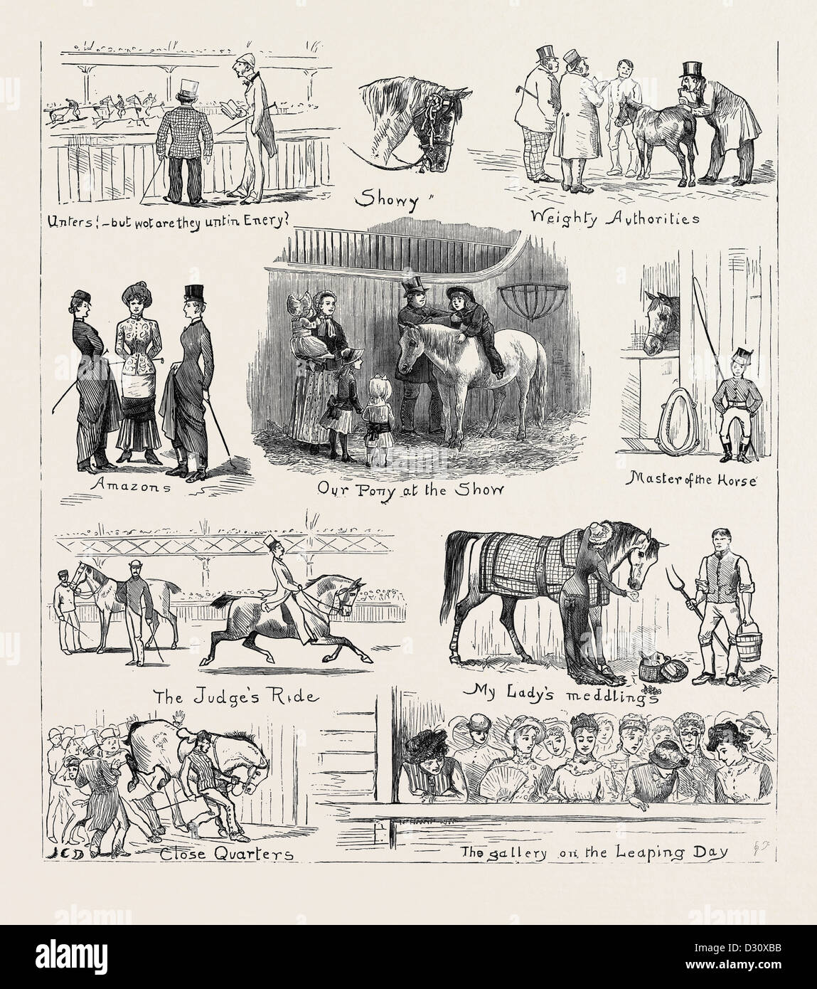 THE ISLINGTON HORSE SHOW Stock Photo