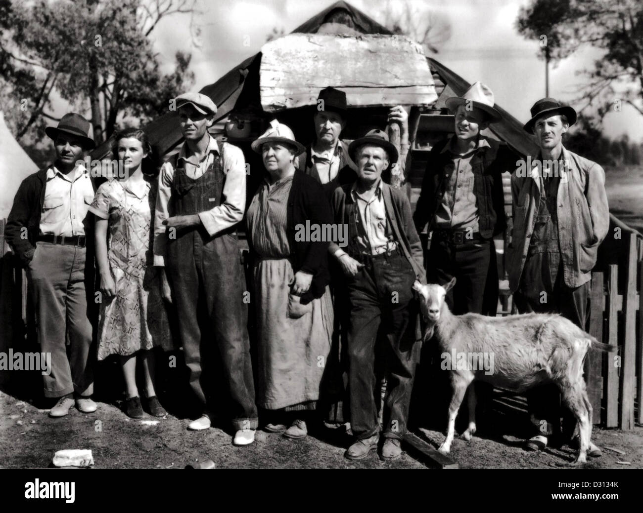 Grapes of wrath Stock Photo Alamy