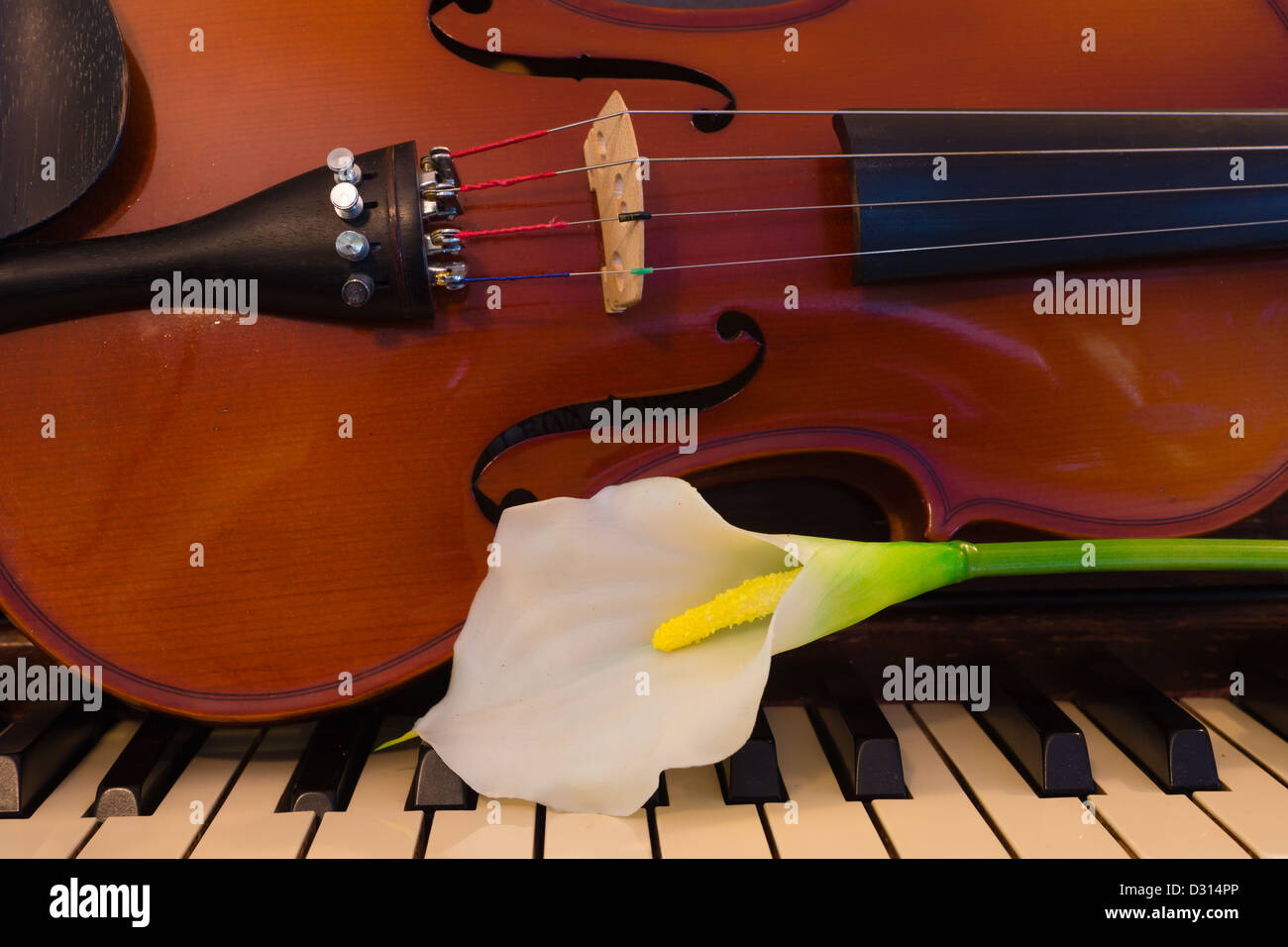 Resting violin hi-res stock photography and images - Alamy