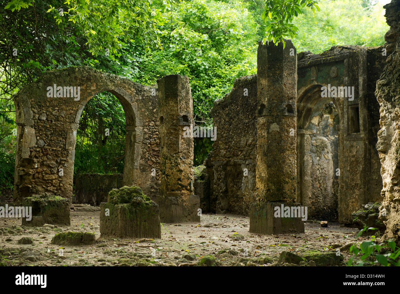 Mnarani ruins, Kilifi, Kenya Stock Photo