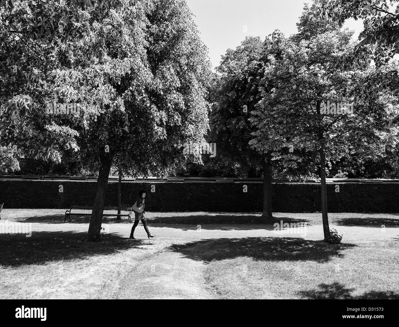 Green sunny Black and White Stock Photos & Images - Alamy