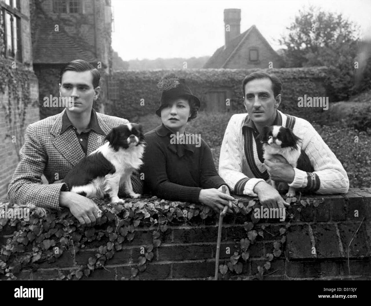 Tree basil leaves Black and White Stock Photos & Images - Alamy
