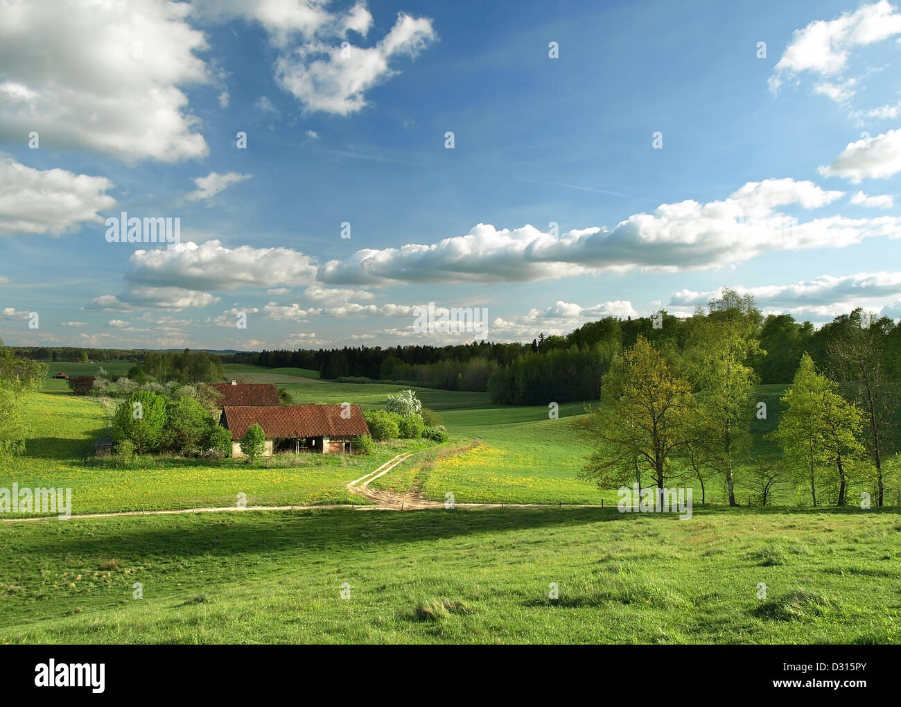 Rural landscape with green meadow, and farmhouse. Peaceful country ...