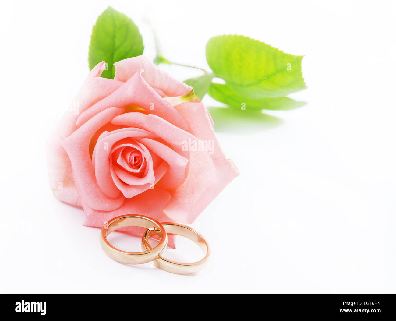 Rose & Wedding rings Stock Photo