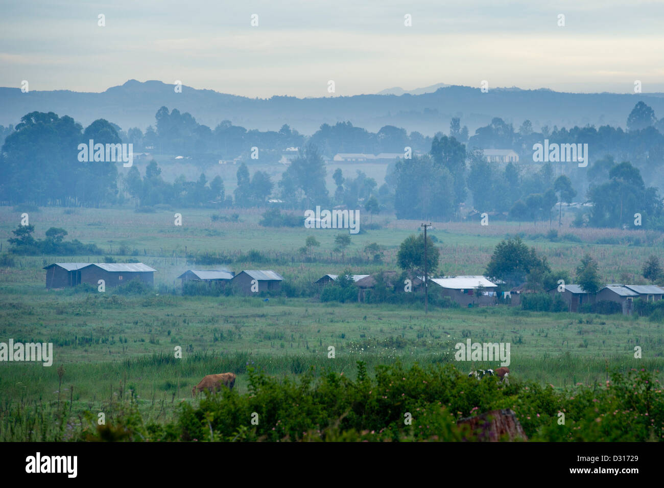 misty morning on the footslopes of Mount Elgon, Kitale, Kenya Stock Photo
