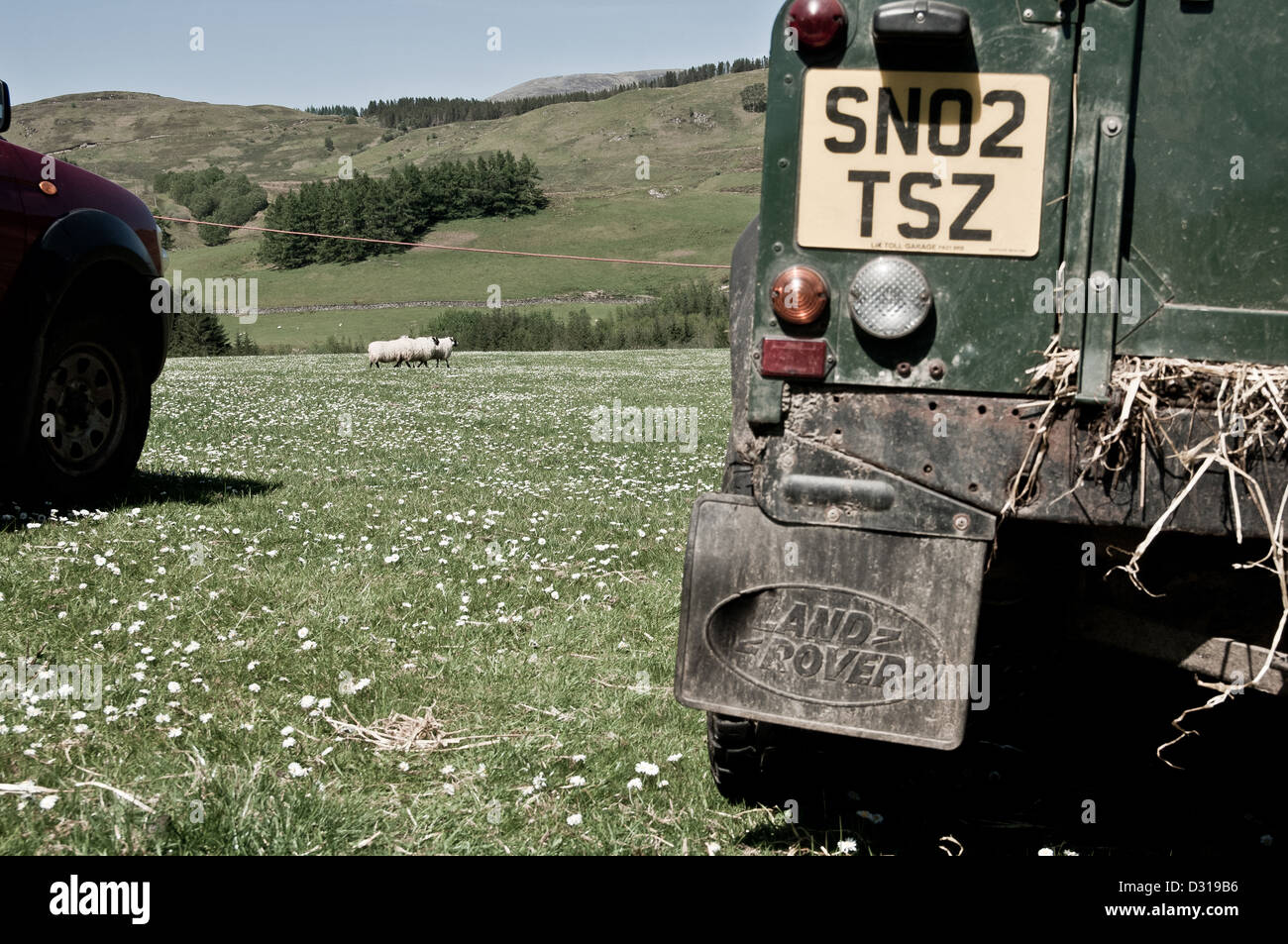 Rear view of land rover 4x4 with hay hanging out door during sheep dog trials Achindaul Fort