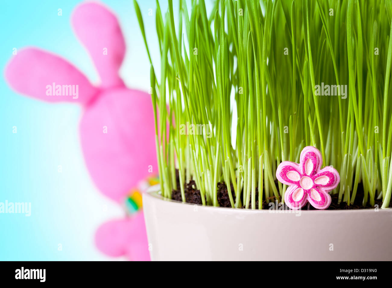 Easter rabbit sitting behind the grass with his back to camera. Focus on pink flower. Stock Photo