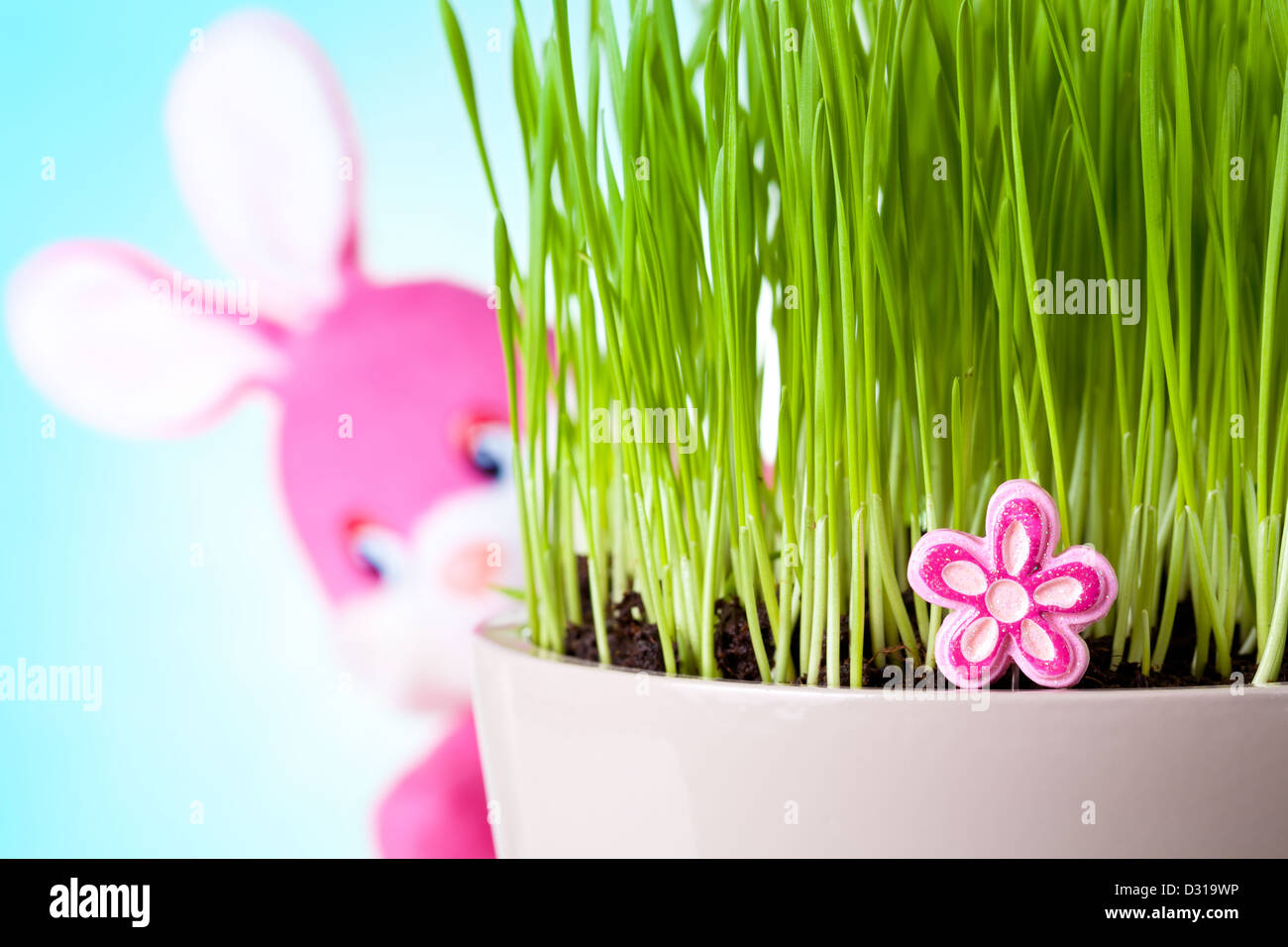 Easter rabbit sitting behind the grass with his face to camera. Focus on pink flower. Stock Photo