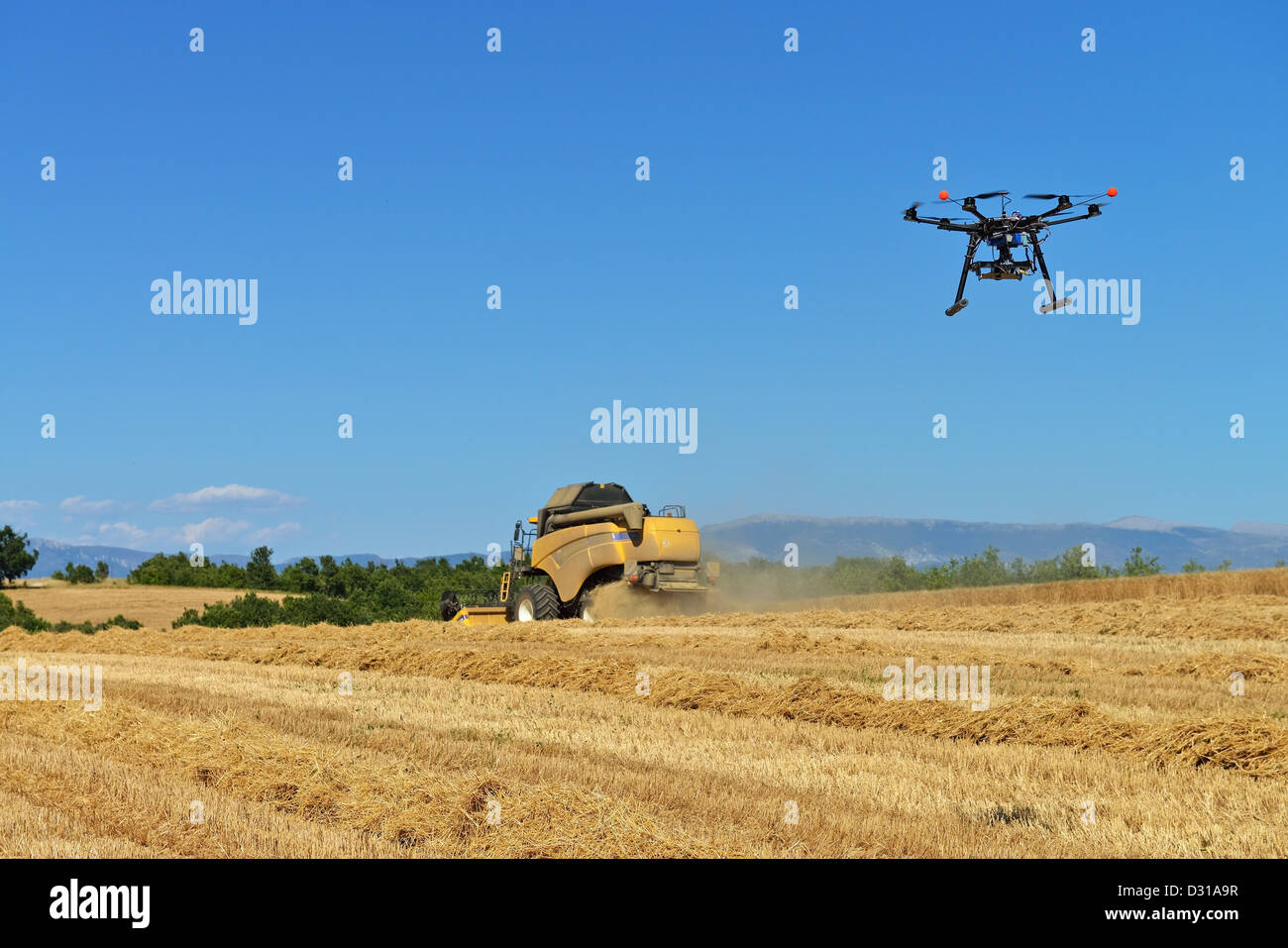Drone - Unmanned Aerial Vehicle (UAV) photographing / filming combine harvester in wheat field in summer , France Stock Photo