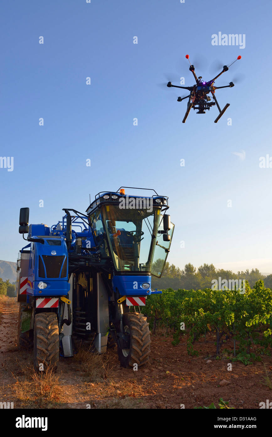 Drone - Unmanned Aerial Vehicle (UAV) photographing / filming grape harvester machine in vineyards, Cote du Rhone, France Stock Photo