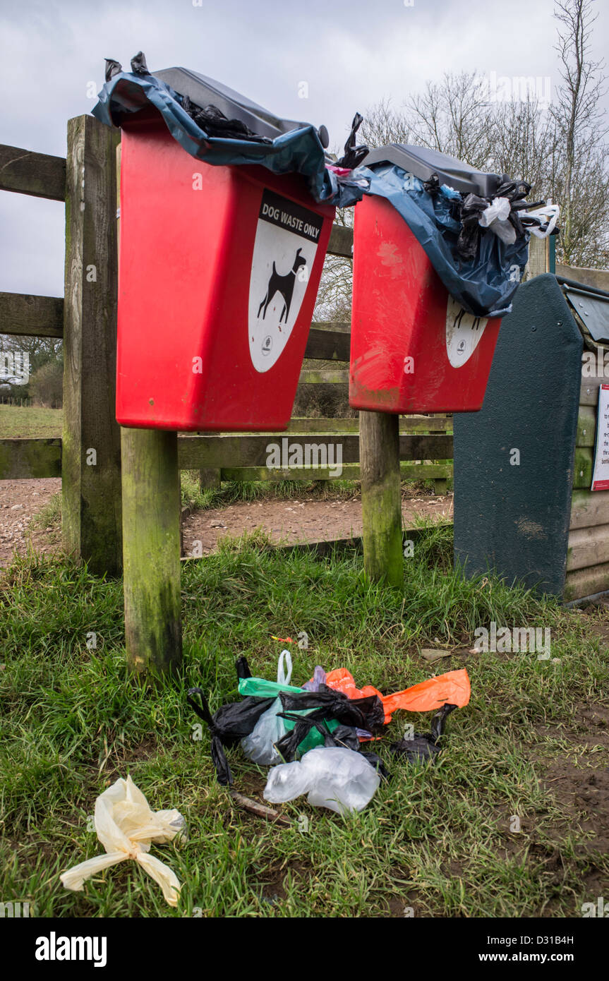 Dog waste bins in need of emptying, England, UK Stock Photo Alamy