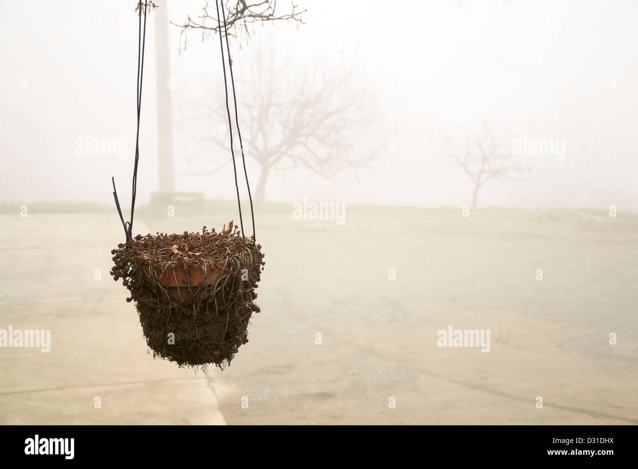 Hanging pot hires stock photography and images Alamy