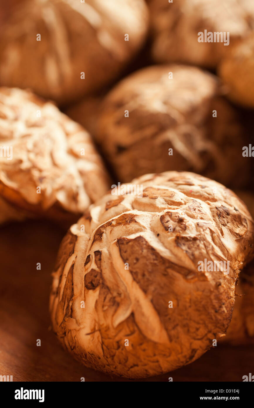 Fresh Shiitake Mushrooms showing the donko pattern on their caps Stock