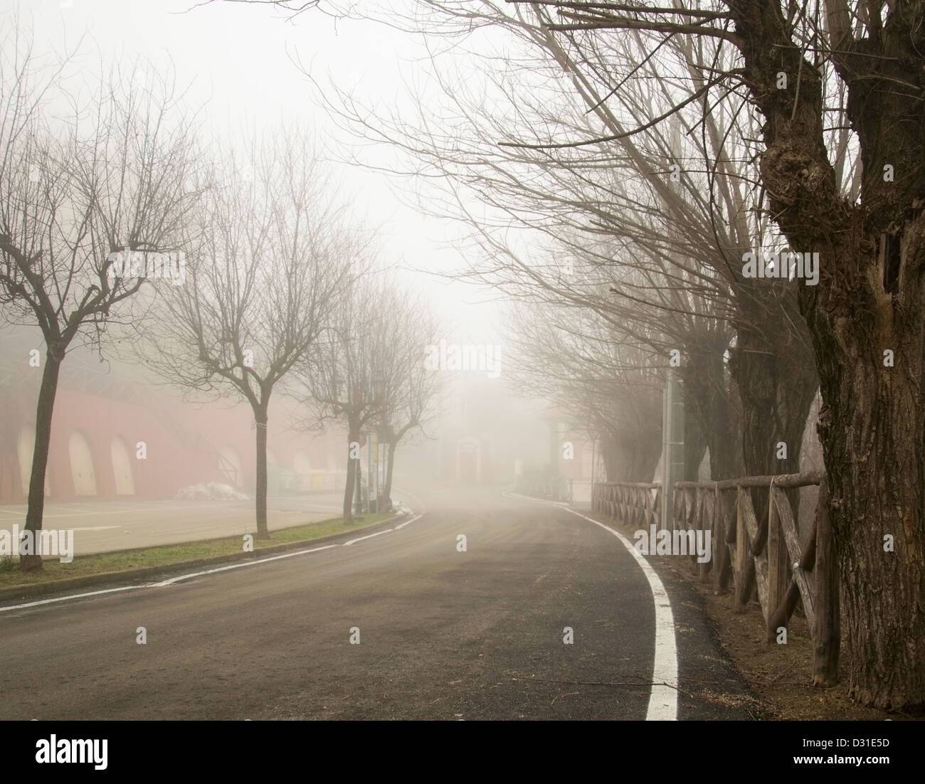 Fog landscape with tree hi-res stock photography and images - Alamy