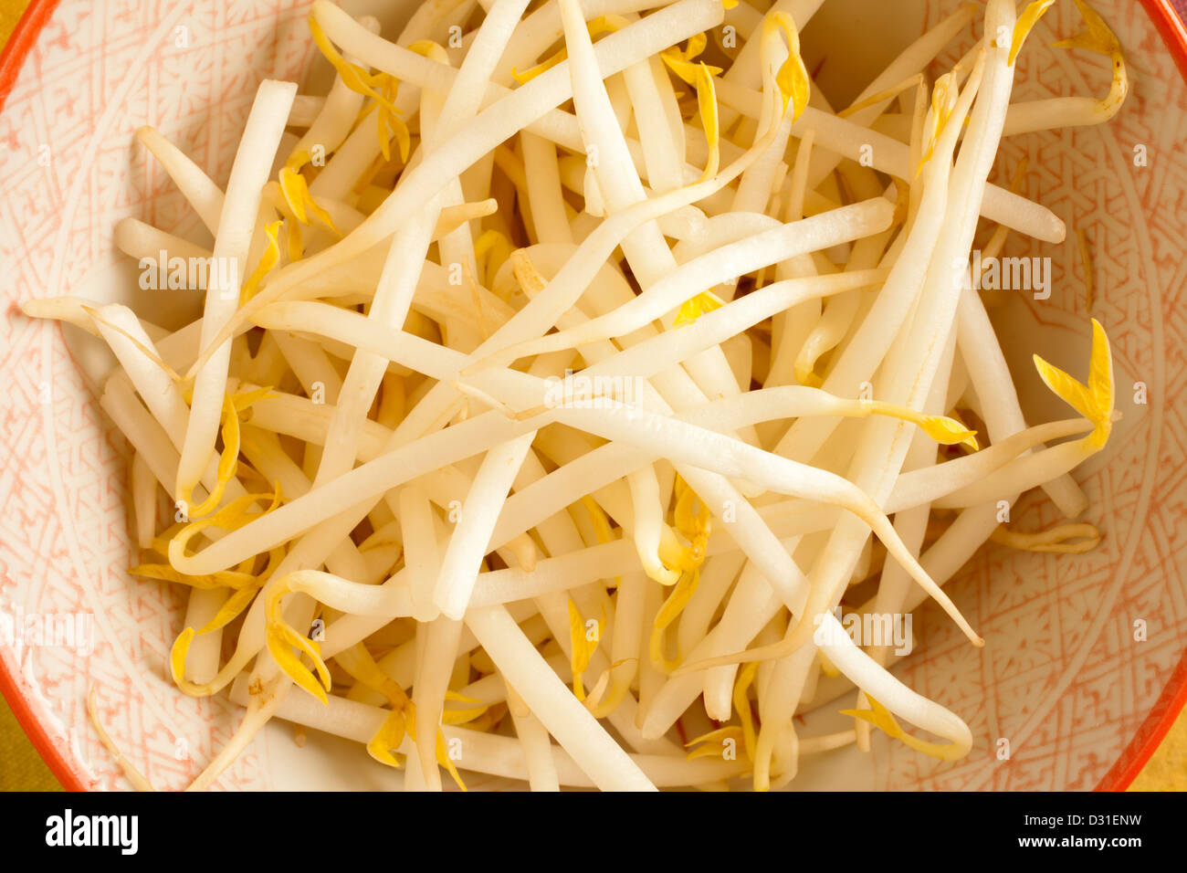 Mung bean sprouts Stock Photo