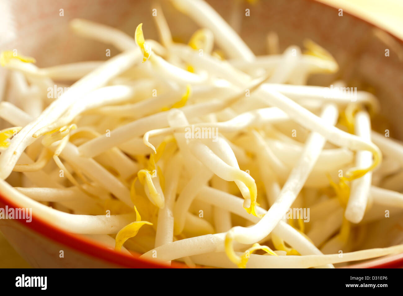 Mung bean sprouts Stock Photo