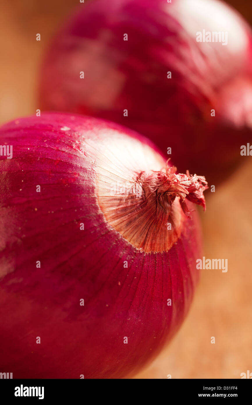 Bermuda onions hires stock photography and images Alamy