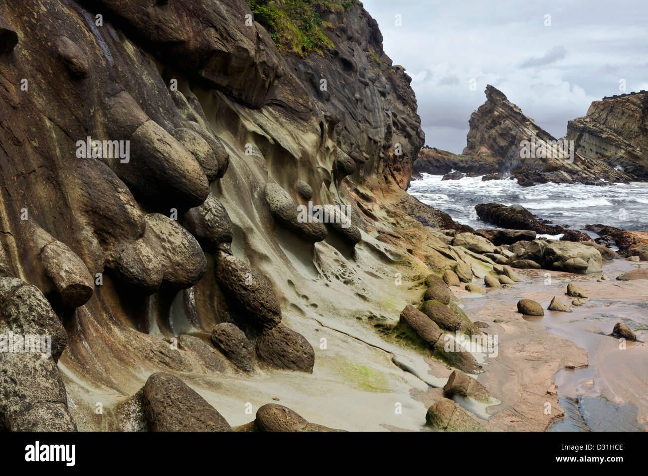 OR00959-00...OREGON - Nodules of harder rock in the eroding sandstone along Simpson Beach at Shore Acres State Park. Stock Photo