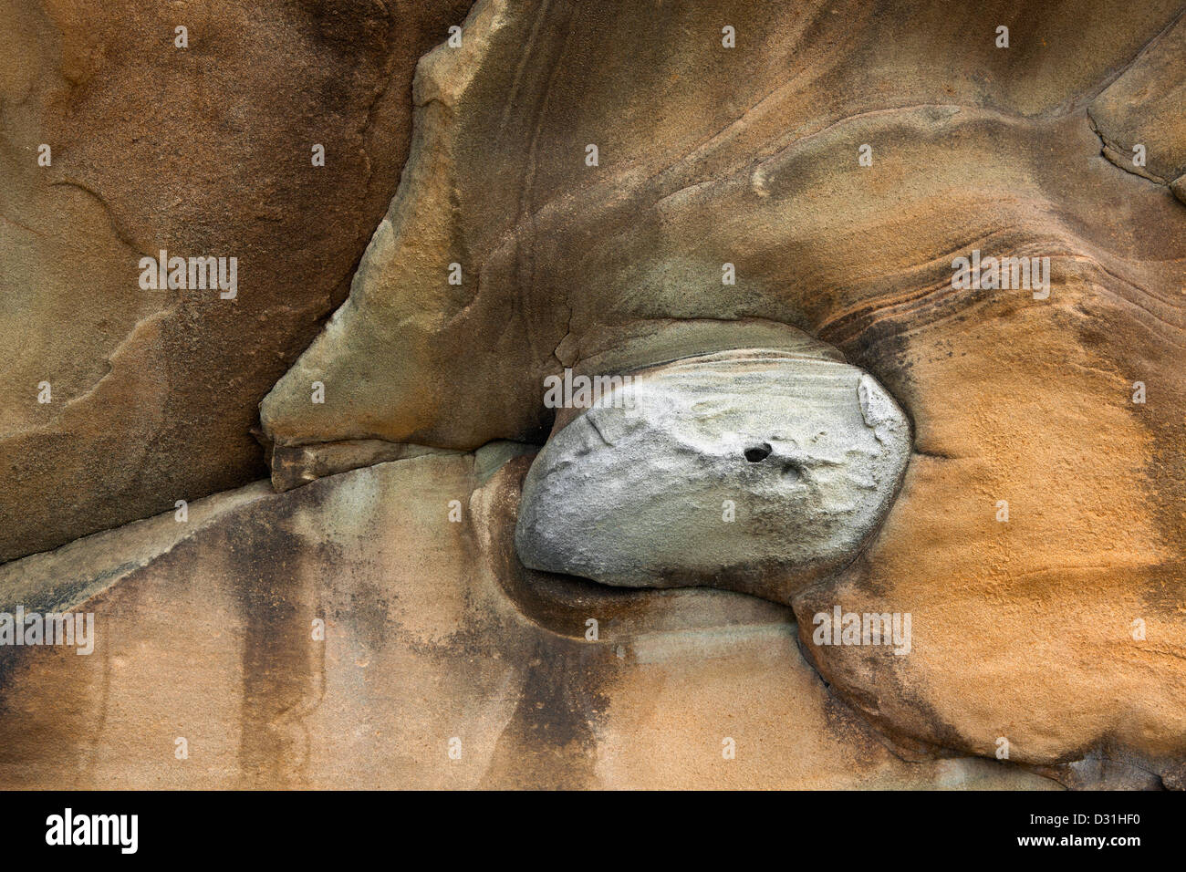 Or 00 Oregon Lump Of Clay Embedded In Sandstone Along The Stock Photo Alamy