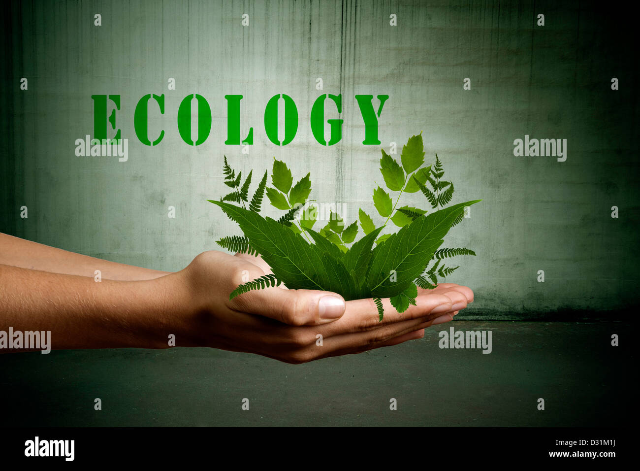 human hands with natural plants Stock Photo