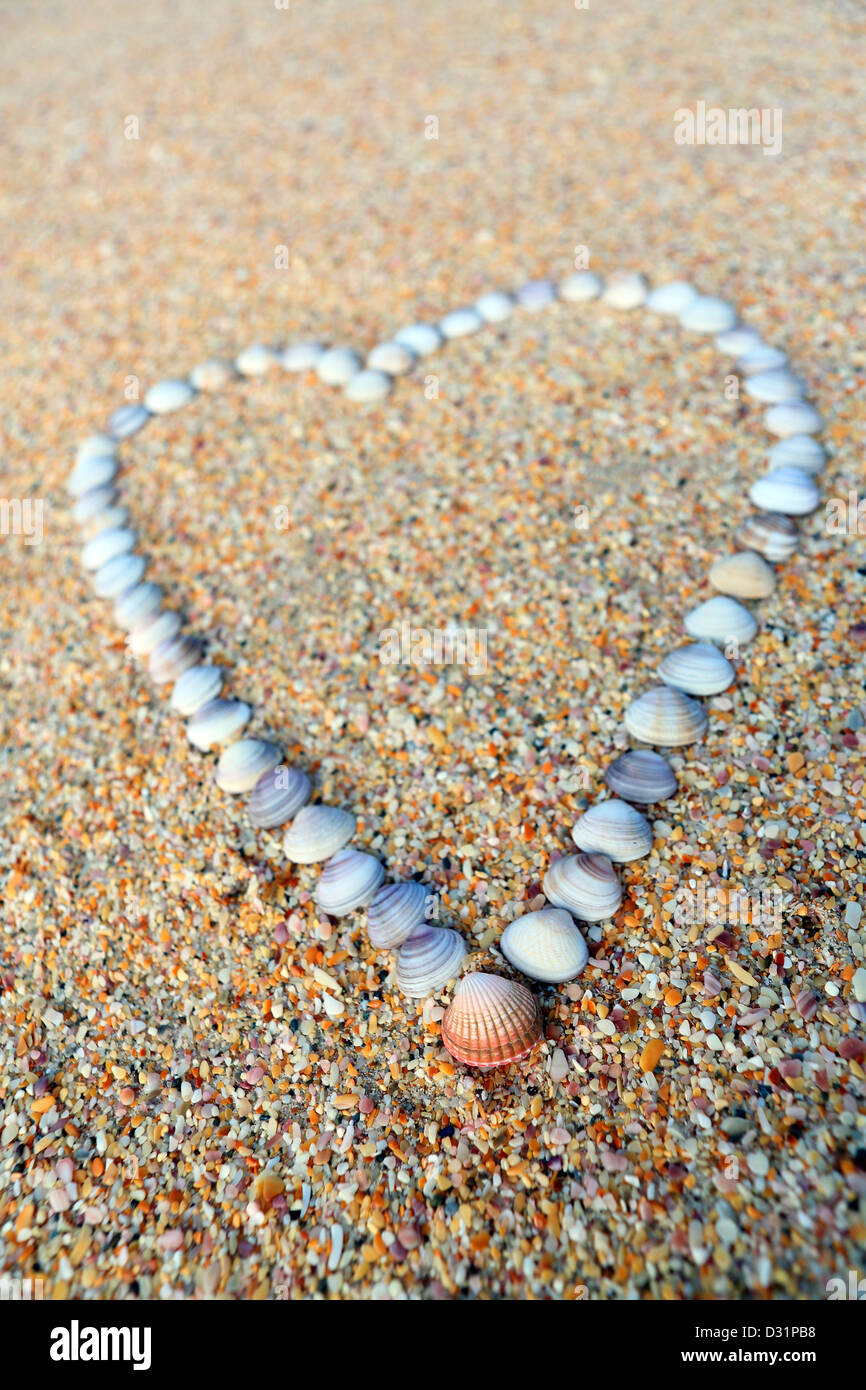 Sea shells shaped into love heart on the sand in Spirits Bay, Northland Stock Photo