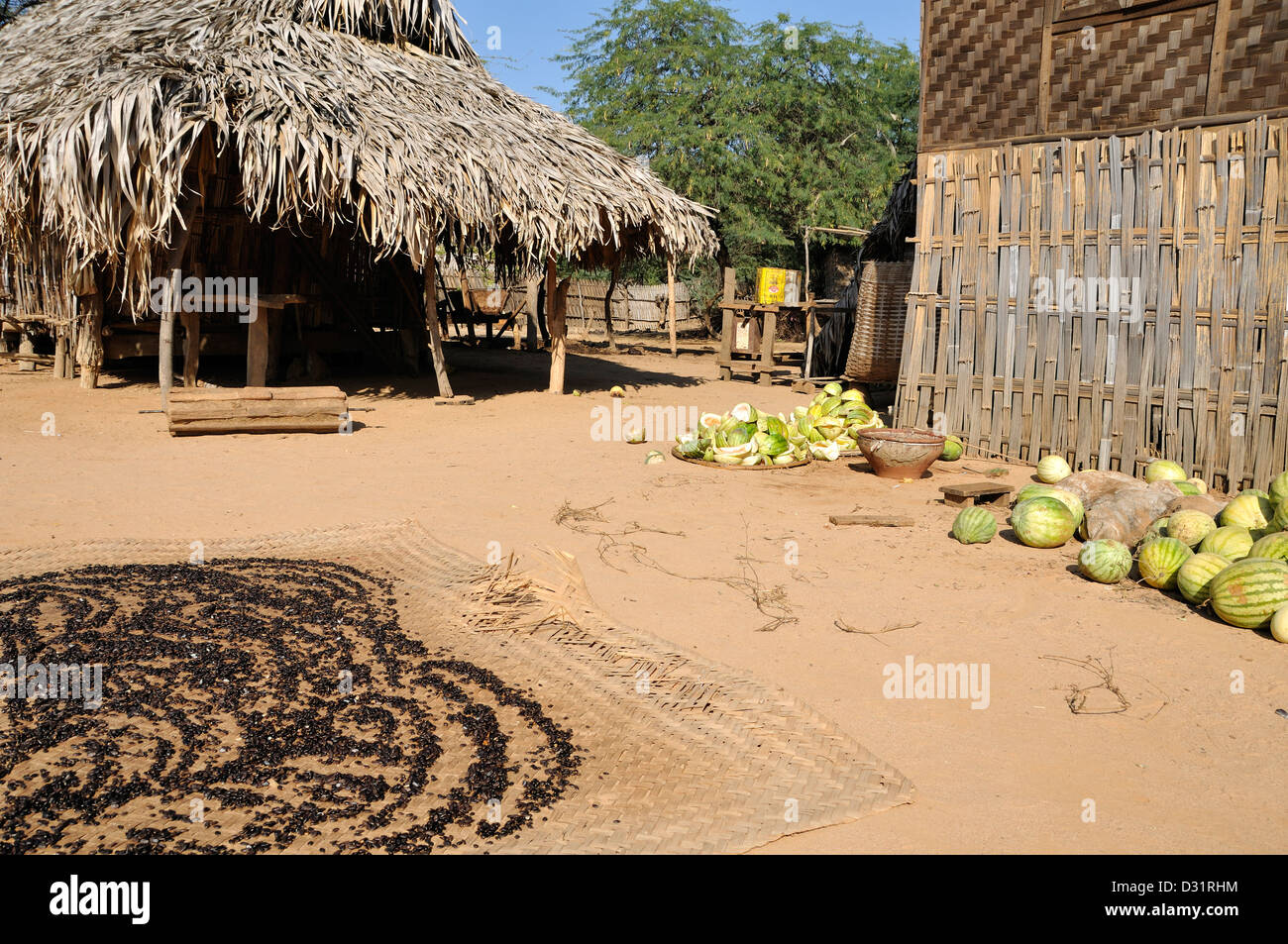 Drying Watermelon Seeds, Minnanthu Village, Bagan, Burma, Myanmar Stock