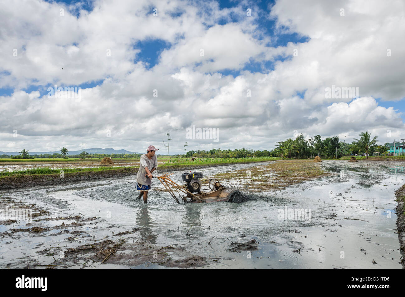 Man preparing the land to cultivate rice, Panay island, Philippines, Asia Stock Photo
