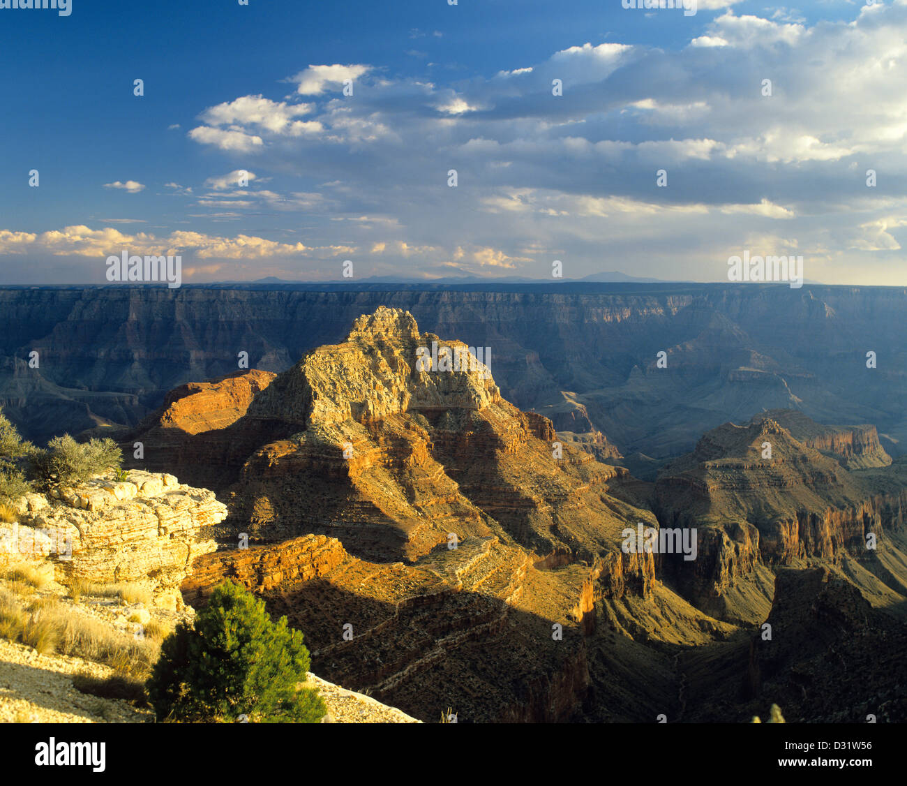 USA, Arizona, Grand Canyon National Park, view from the North Rim at Cape Royal Stock Photo