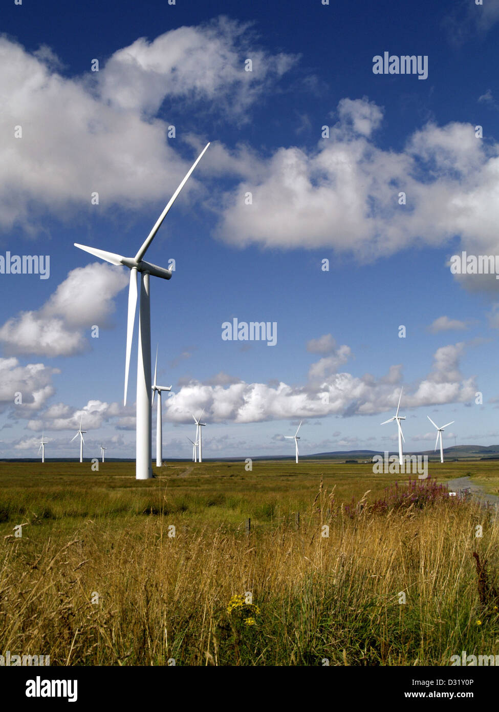 A Scottish windfarm on a summers day. Causeymire, Caithness Stock Photo
